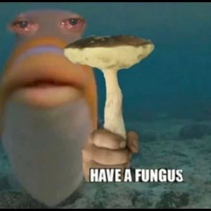 Meet your Posher, Noah